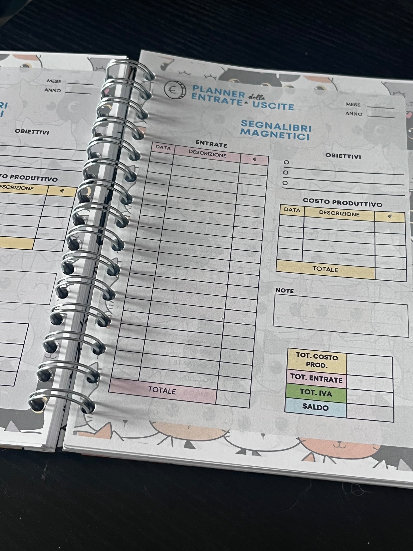 Planner entrate ed uscite