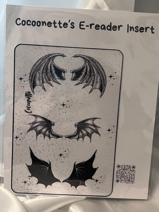 Inserto Kindle ALI